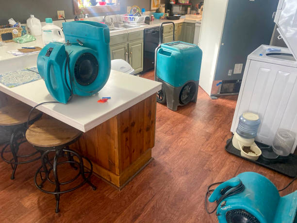 Best Carpet water damage restoration  in Magnolia, MS