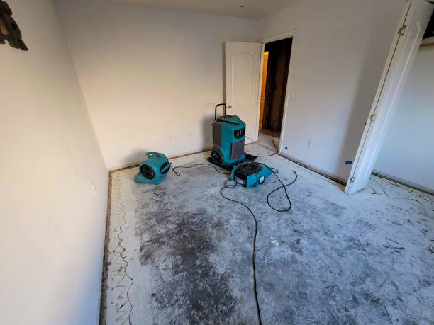Best Water damage restoration near me  in Magnolia, MS