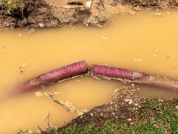 Best Water damage cleanup near me  in Magnolia, MS