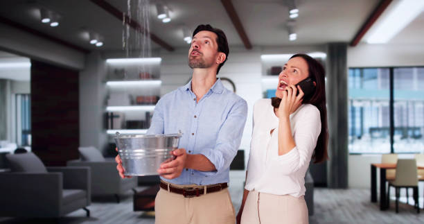 Best Water damage restoration company  in Magnolia, MS