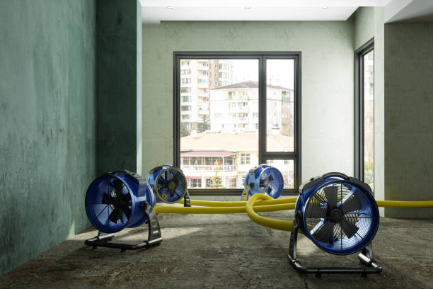Best Basement water damage restoration  in Magnolia, MS